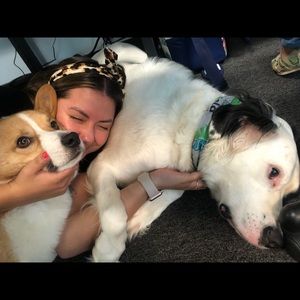 Meet your Posher, Caroline